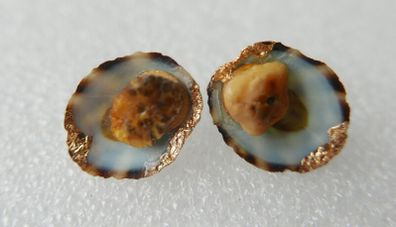 Handmade Seashell Stud Earrings