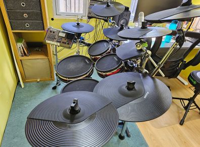 Alesis Crimson II + DM10 Module