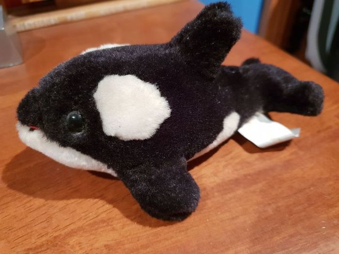 small killer whale stuff toy display
