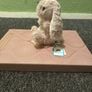 Jelly Cat London yummy Bunny 15cm Image 2