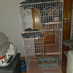 cat enclosure