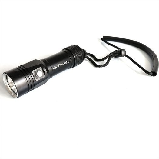 Picasso Comet DIve Light