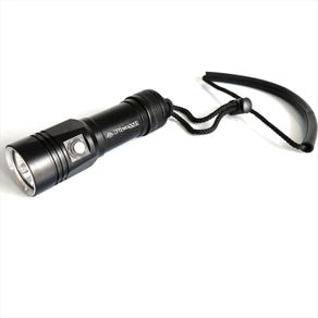 Picasso Comet DIve Light