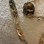 Ladies costume jewellery bundle Image 6