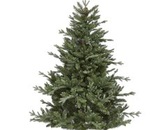 Xmas tree