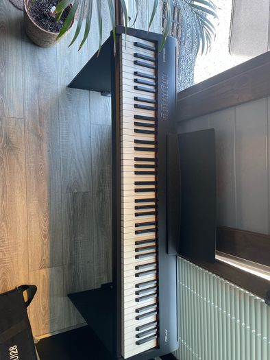 Roland FP30 with wheel case and stand