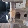 cat tree Image 3