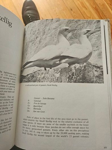 Skellig Island Outpost Of Europe. By Des Lavelle. Large Volume Hardback In Good Condition.  See Photos For Same