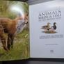 Animals Birds & Fish Of The British Isles Image 3