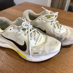 Nike Pegasus