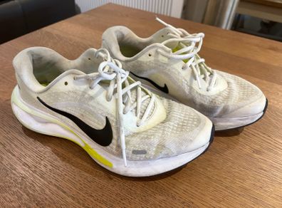 Nike Pegasus