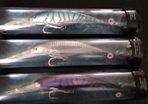 Westin Platypus 16cm