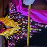 Irish Dancing Dress Image 6