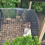 Chicken  coop Image 2
