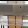 Bird  seed container Image 3