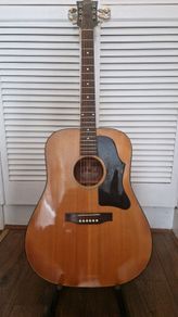 Gibson J50