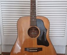 Gibson J50
