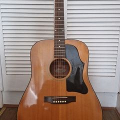 Gibson J50