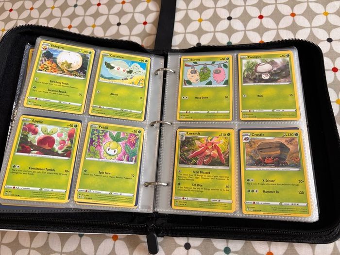 Pokemon folder and cards
