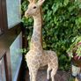 5' Giraffe Image 4