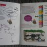 Rock Detectives Workbook Image 2