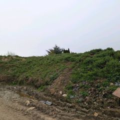 Free Top Soil - Dunboyne, Meath