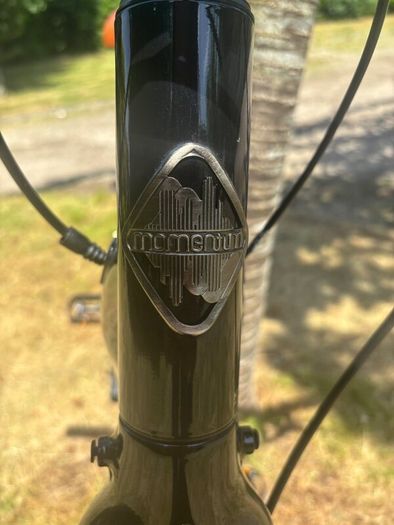Momentum voyae + E bike