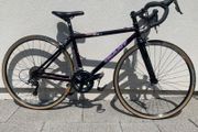 Giant TCM Carbon Fibre Bicycle