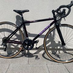 Giant TCM Carbon Fibre Bicycle