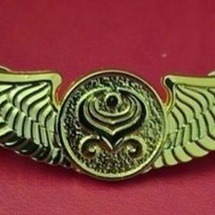 Hainan airlines, flight crew badge.