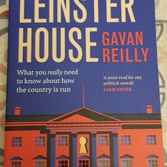 The Secret Life Of Leinster House by Gavan Reilly
