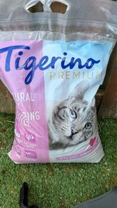 cat litter