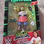 Ninja turtle Superstars Michelangelo / Miguel Angel Michelangelo Rowdy Piper Action Figure. Sealed. WWE Ninja Superstars Image 5