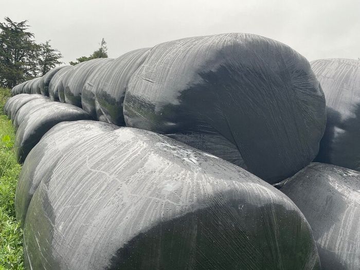 Silage Bales