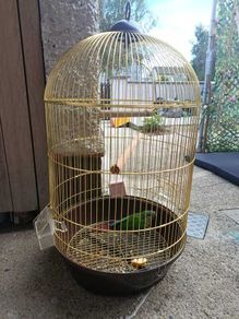Bird cage
