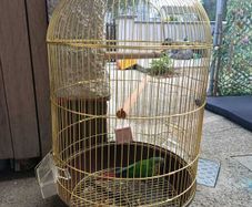 Bird cage