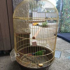 Bird cage