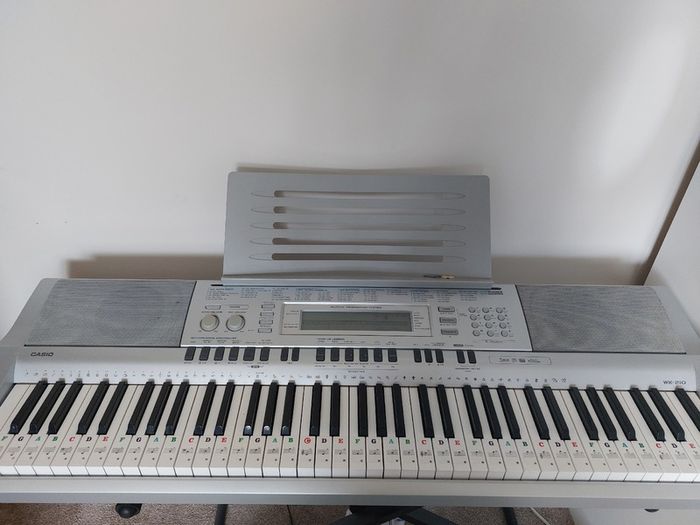 Casio wk 210 with stad