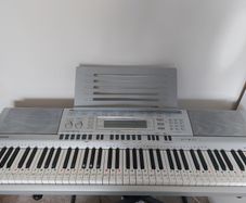 Casio wk 210 with stad