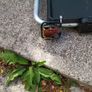 Thule Car towbar carrier Image 3