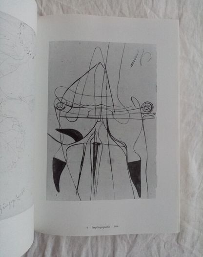 Joseph Beuys (1988 Hardback) - The Secret Block for a Secret Person In Ireland - Modern Art Book