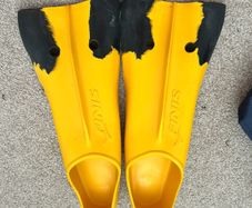finis swim kit fins