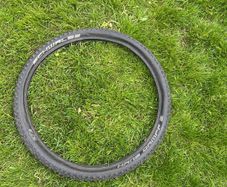 schwalbe