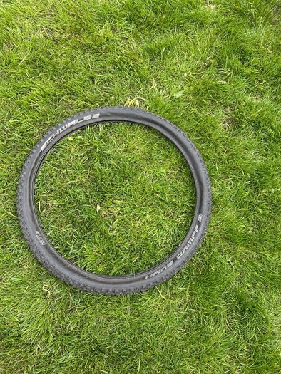 schwalbe