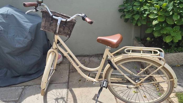 Ladies Bicycle