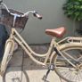 Ladies Bicycle Image 3