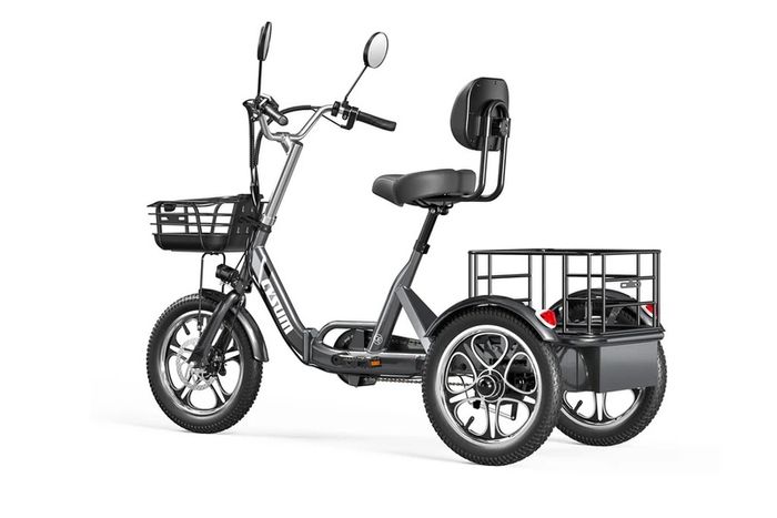 Electric Tricycle Bike Cargo Bike with free delivery