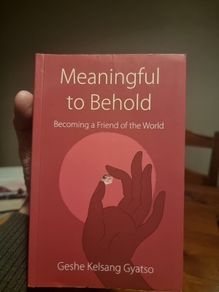 Meaningful to Behold : Becoming a Friend of the World (Soft cover)  Kelsang Gyatso