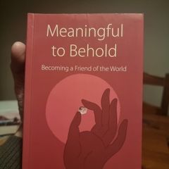 Meaningful to Behold : Becoming a Friend of the World (Soft cover)  Kelsang Gyatso