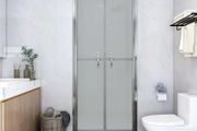 Shower Door Frosted ESG 76x190 cm